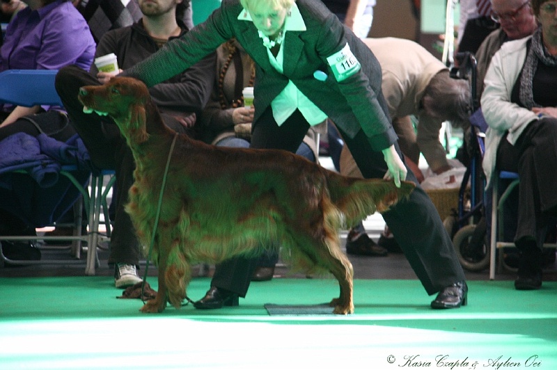 Crufts2011 663.jpg